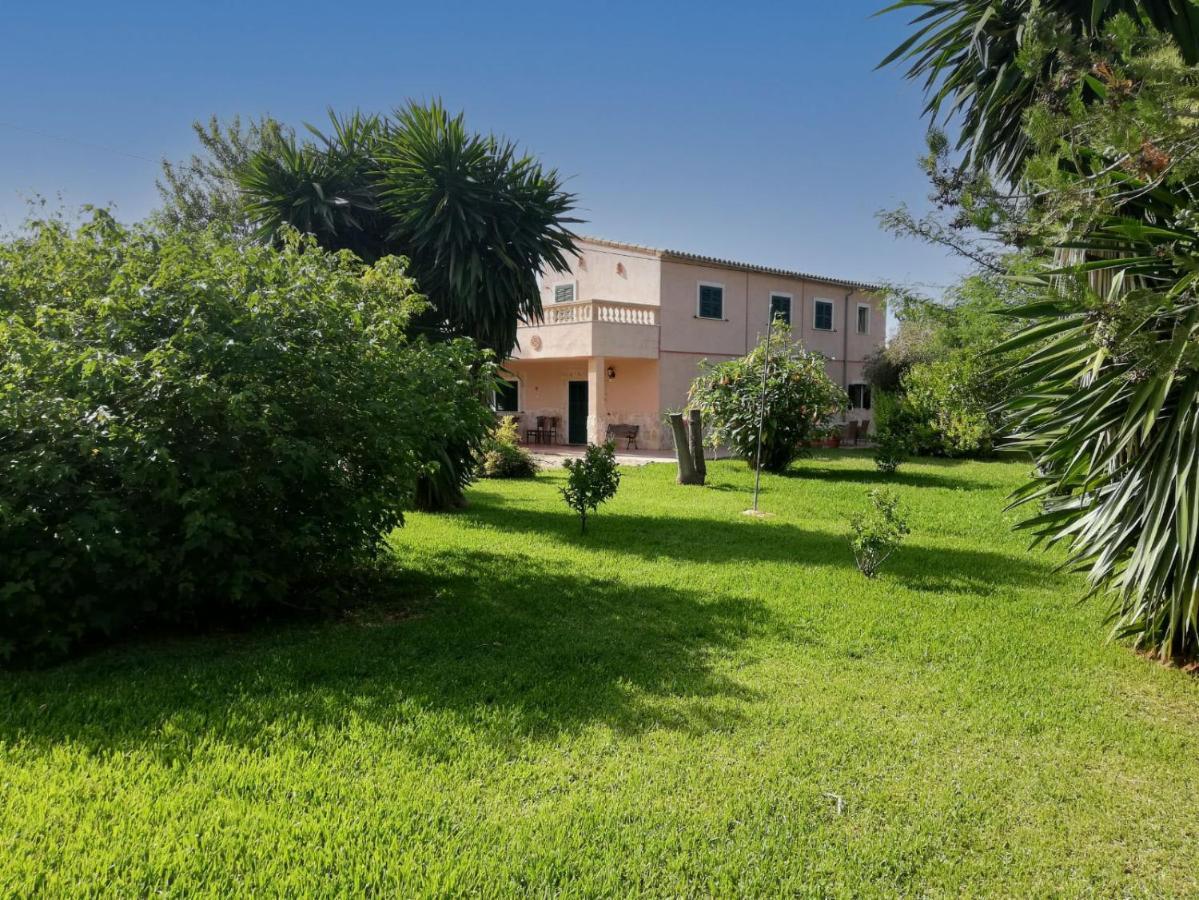 Finca Holisa